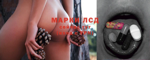 Альфа ПВП Магадан
