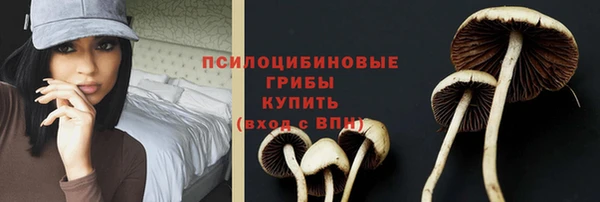 Альфа ПВП Магадан