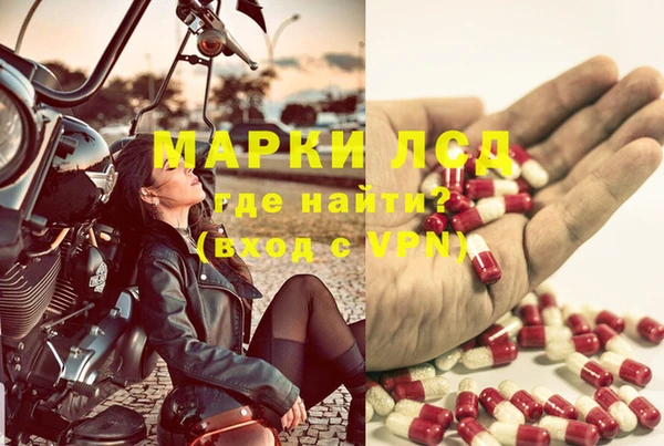 Альфа ПВП Магадан