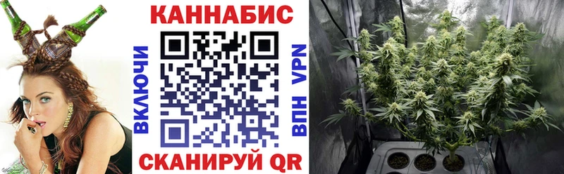 Конопля THC 21%  как найти наркотики  Холмск 